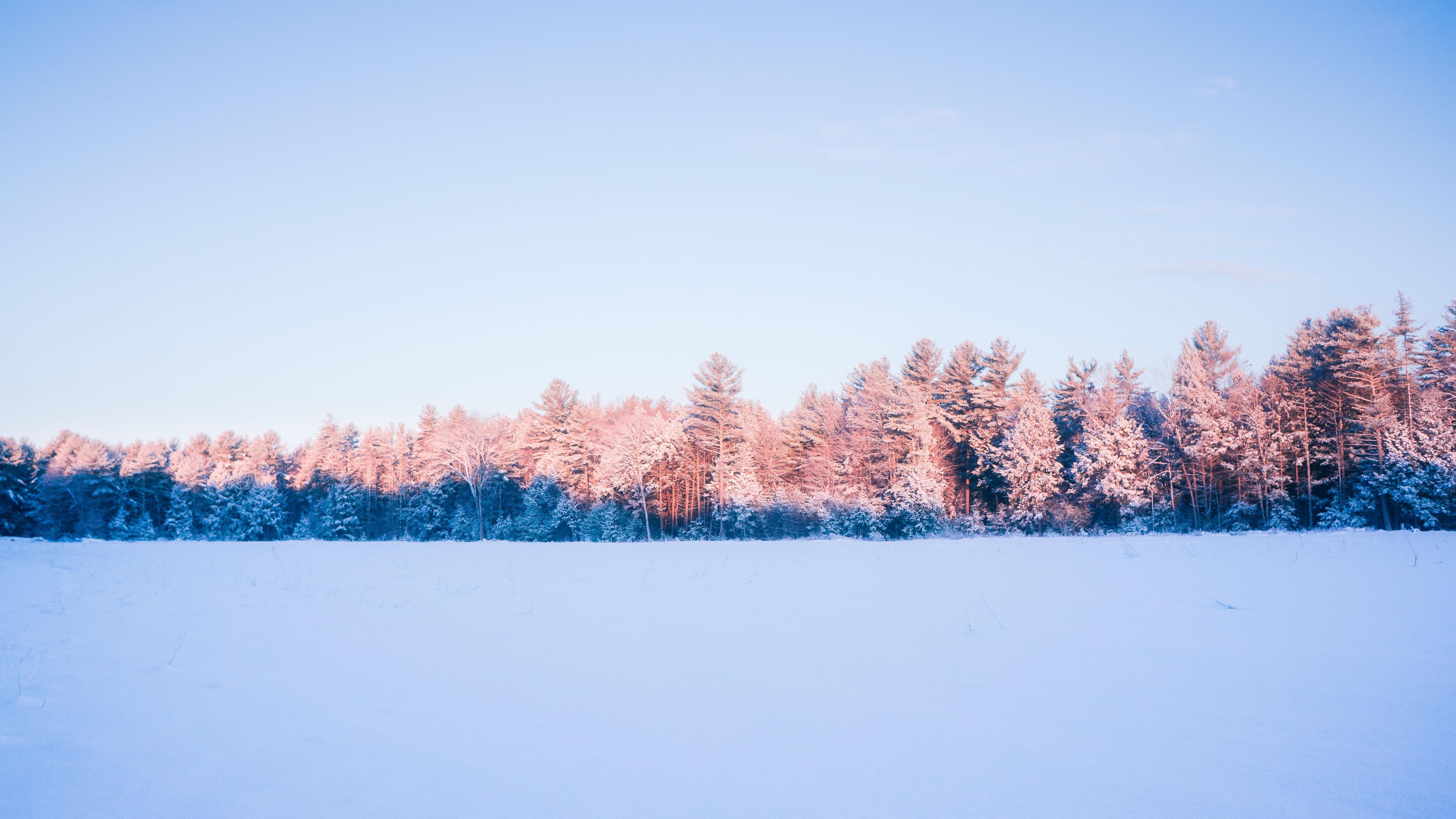 A wintry sunrise at Amethyst Brook. 